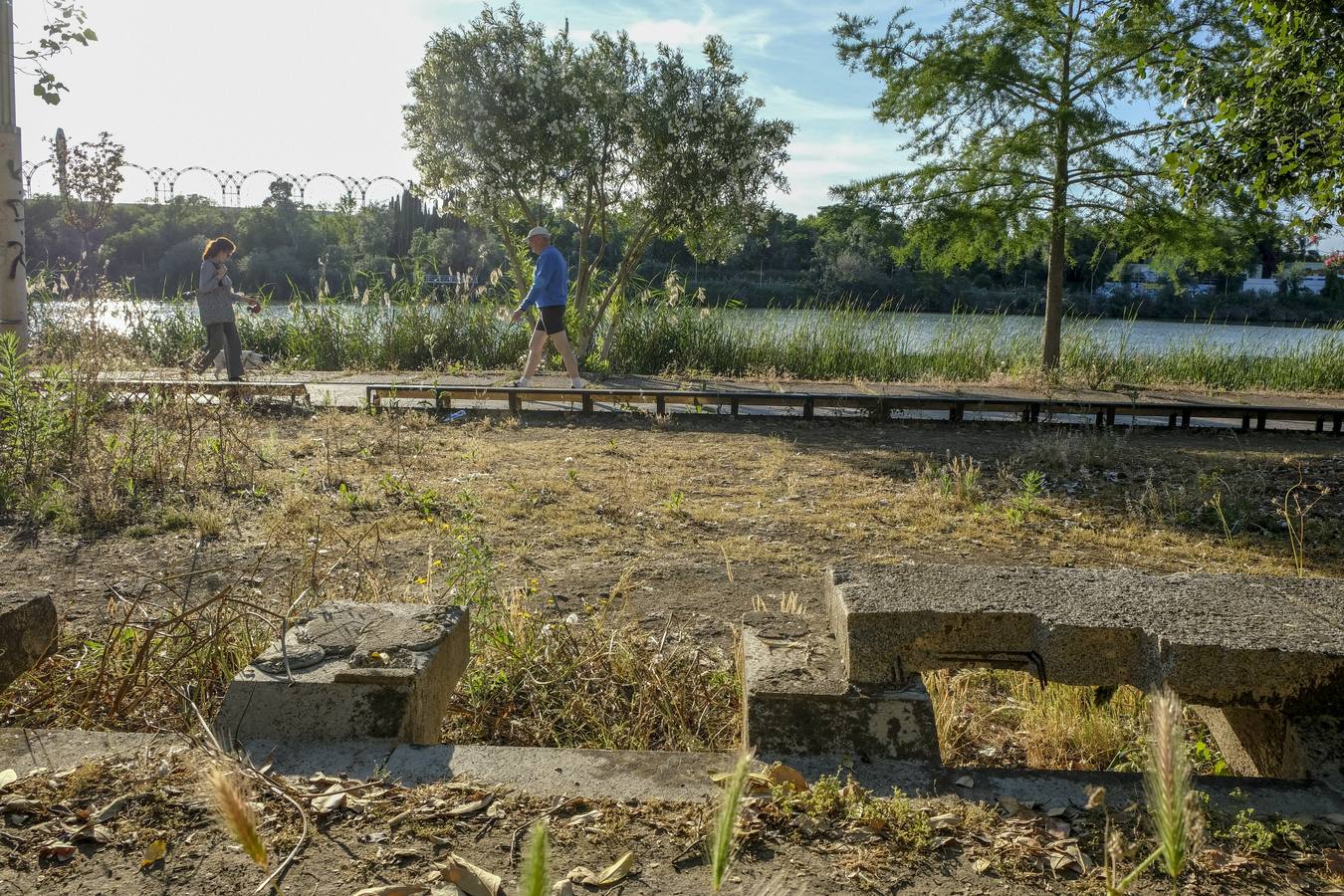 Deterioro y abandono en la orilla del río a su paso por La Cartuja y en el Paseo de Juan Carlos I
