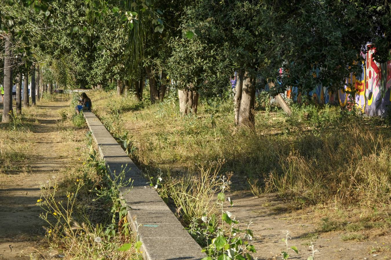 Deterioro y abandono en la orilla del río a su paso por La Cartuja y en el Paseo de Juan Carlos I