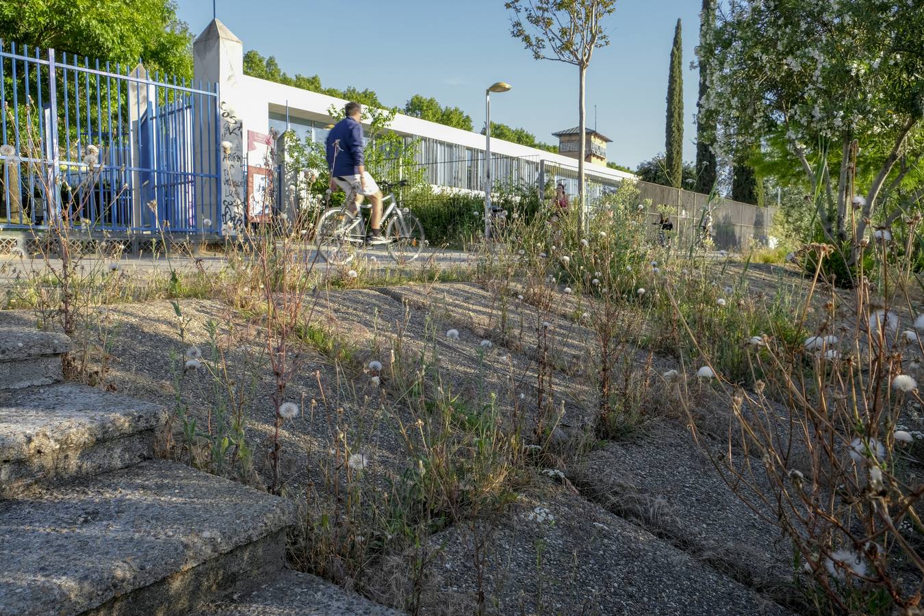 Deterioro y abandono en la orilla del río a su paso por La Cartuja y en el Paseo de Juan Carlos I