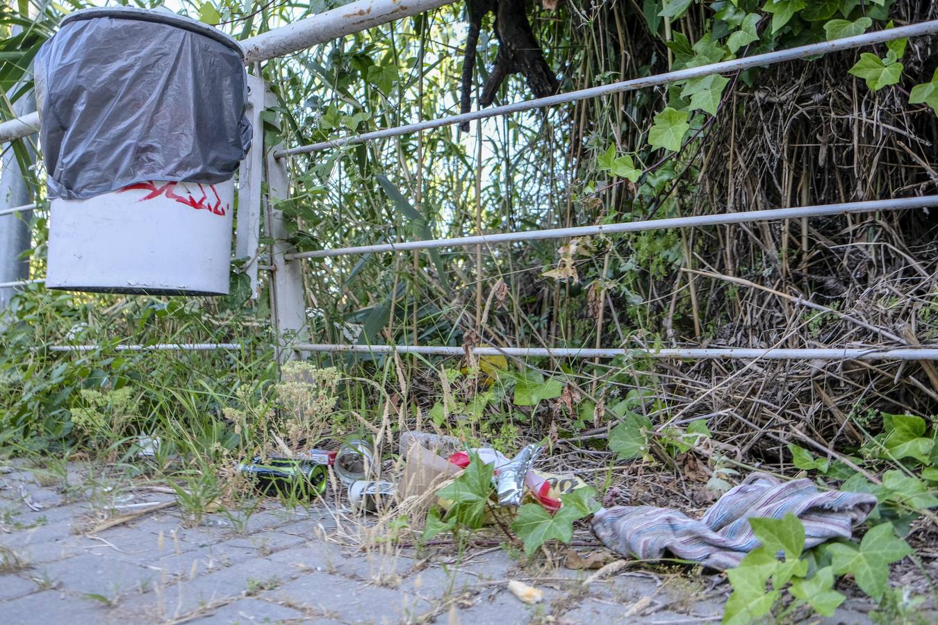 Deterioro y abandono en la orilla del río a su paso por La Cartuja y en el Paseo de Juan Carlos I