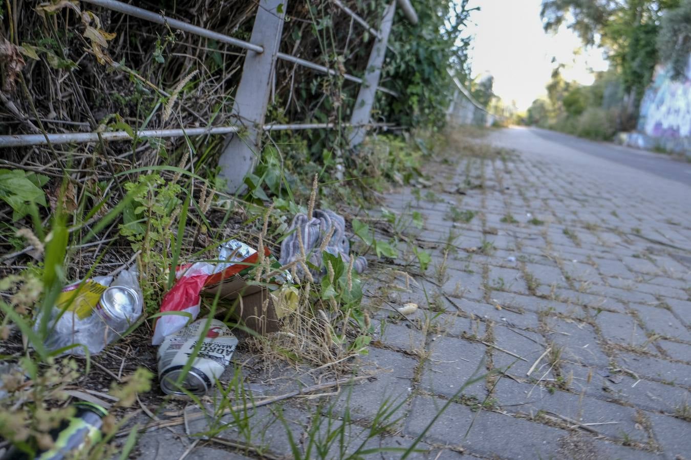 Deterioro y abandono en la orilla del río a su paso por La Cartuja y en el Paseo de Juan Carlos I