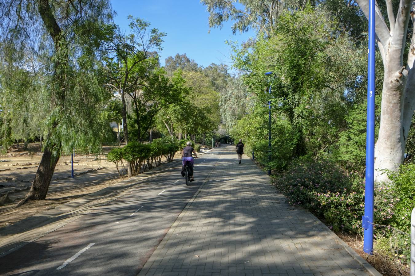 Deterioro y abandono en la orilla del río a su paso por La Cartuja y en el Paseo de Juan Carlos I