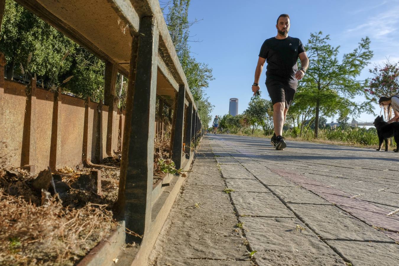 Deterioro y abandono en la orilla del río a su paso por La Cartuja y en el Paseo de Juan Carlos I