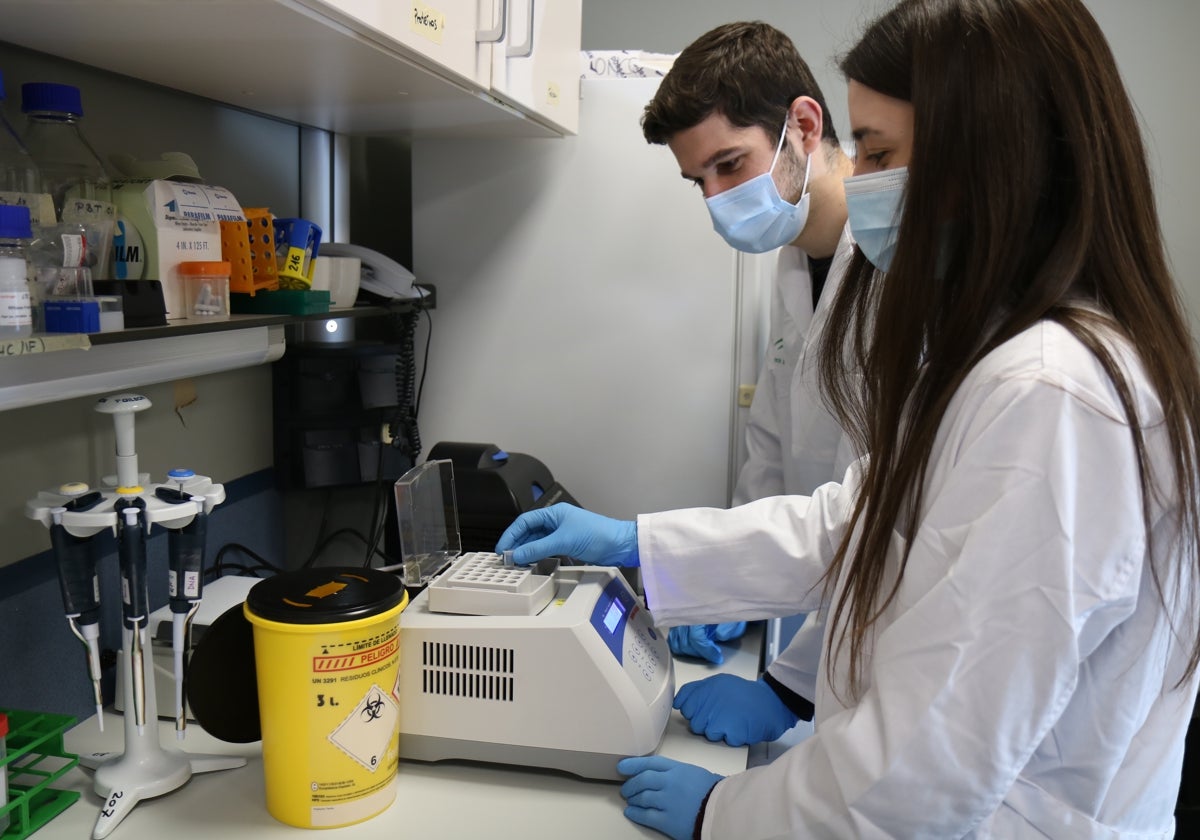 Investigadores del Instituto de Biomedicina de Sevilla