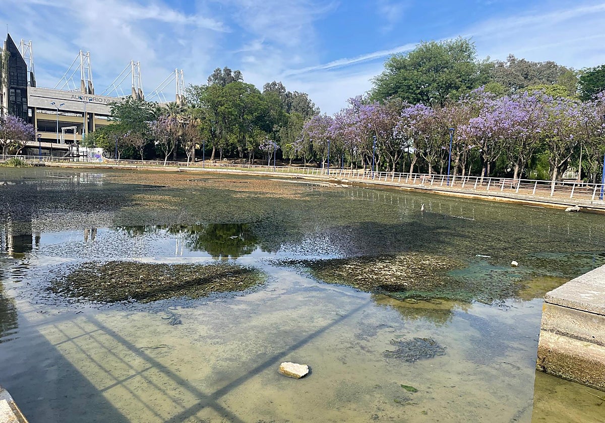 El estanque del Jardín Americano plagado de algas en descomposición