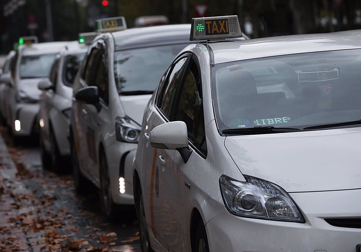 Varios taxis a la espera de clientes