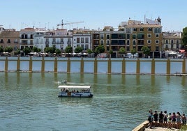 Lipasam elimina una enorme pintada contra el Gobierno y pro Palestina en la zapata de Triana