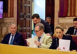 El Pleno del Ayuntamiento de Sevilla aprueba con un amplio respaldo la pasarela entre Altadis y San Telmo