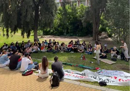 Las acampadas pro Palestina se unen: los de la UPO se trasladan a la Universidad de Sevilla