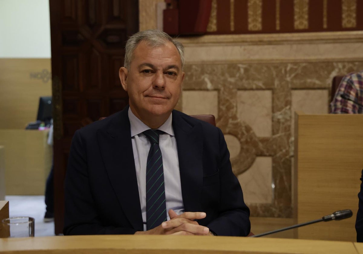 José Luis Sanz, en el pleno extraordinario del Ayuntamiento de Sevilla donde se ha debatido la cuestión de confianza del alcalde