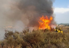 Extinguido tras ocho horas un incendio en la finca El Encinar de Alanís