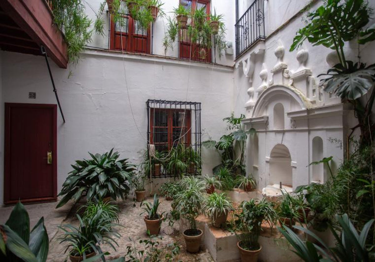 Patio de una de las casas