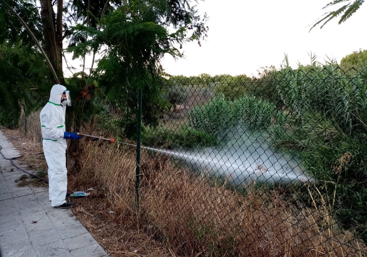 Un operario fumigando en La Puebla del Río