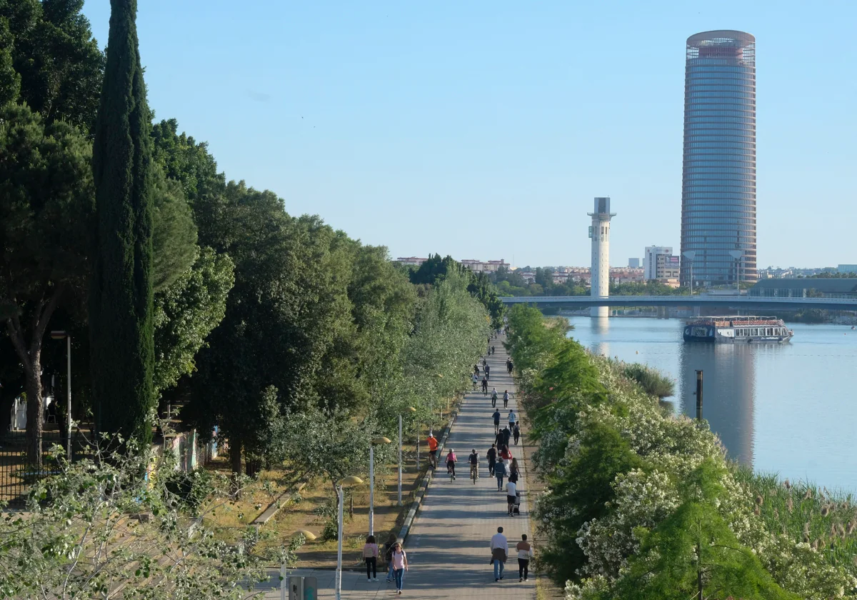 Así será la reforma del Paseo de Juan Carlos I en Sevilla junto al río:  nuevo pavimento, alumbrado y pistas deportivas