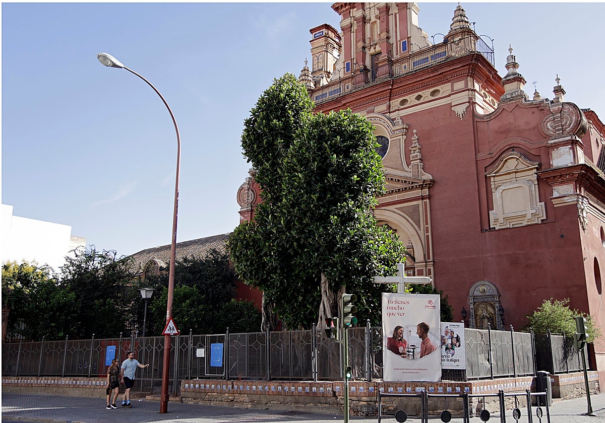 El ficus de San Jacinto en una imagen de archivo
