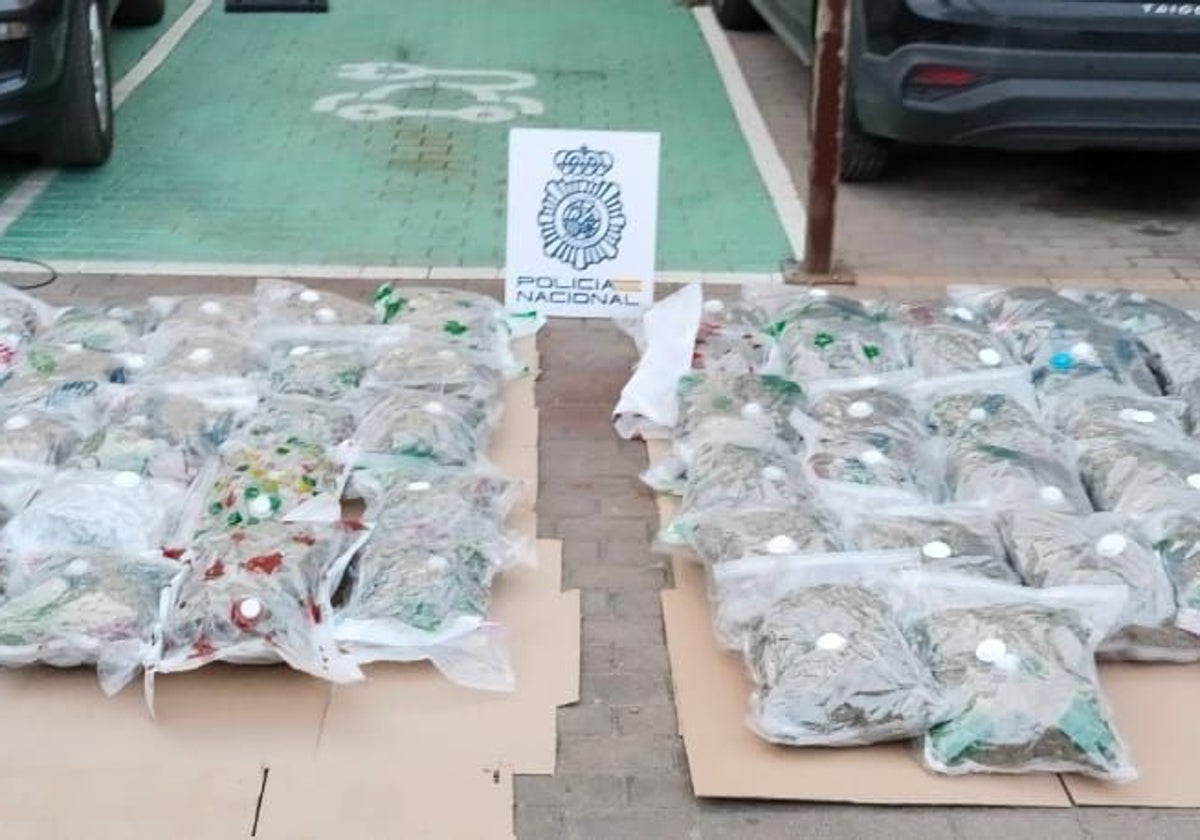 Bolsas de marihuana envasada al vacío incautada en la operación