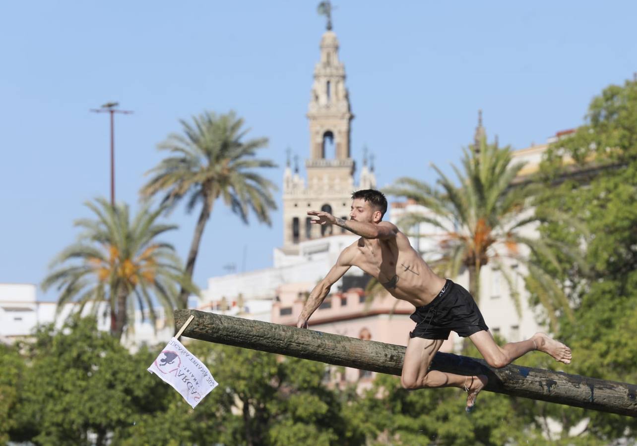 Momentos emocionantes se han vivido esta tarde en el juego de la cucaña