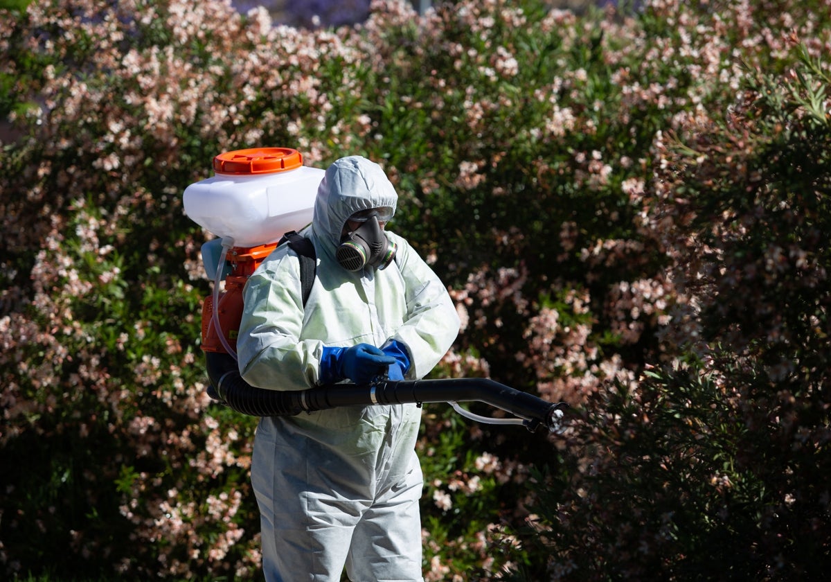 Imagen de archivo de un operario fumigando una zona con presencia de mosquitos