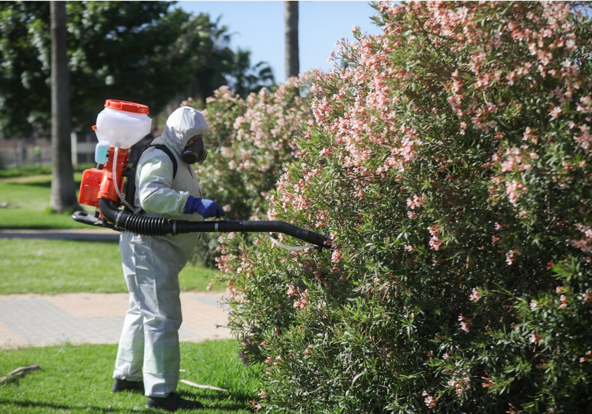 Un operario fumigando en La Puebla del Río