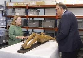 En imágenes, visita del consejero a la nave de La Rinconada que alberga las piezas del Museo Arqueológico