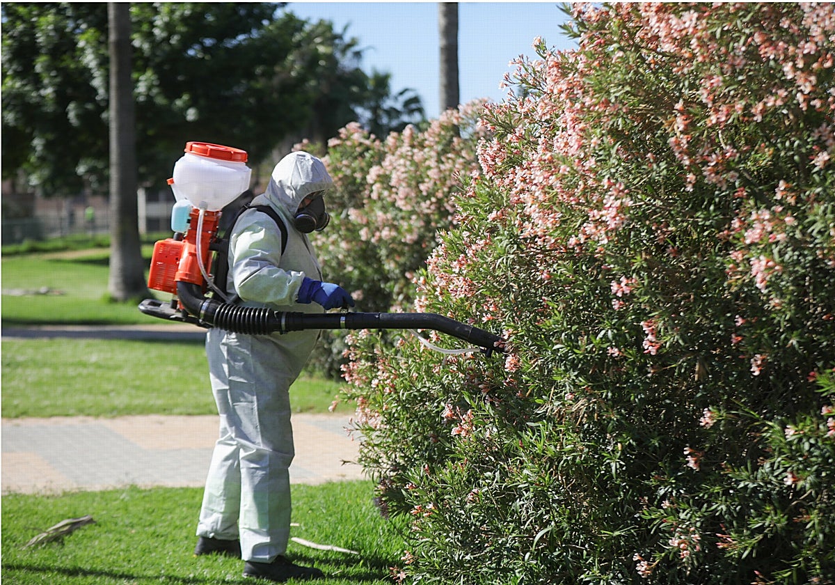 Un operario fumigando en una de las zonas afectadas