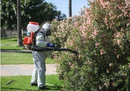 La Diputación de Sevilla intenta tranquilizar a los pueblos afectados por el virus del Nilo mientras la Junta le dice que llega "4 años tarde"