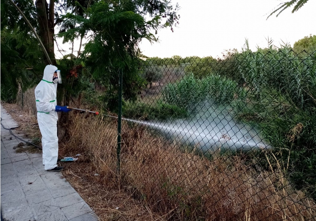 Un operario fumiga en La Puebla del Río, una de las localidades sevillanas más afectadas