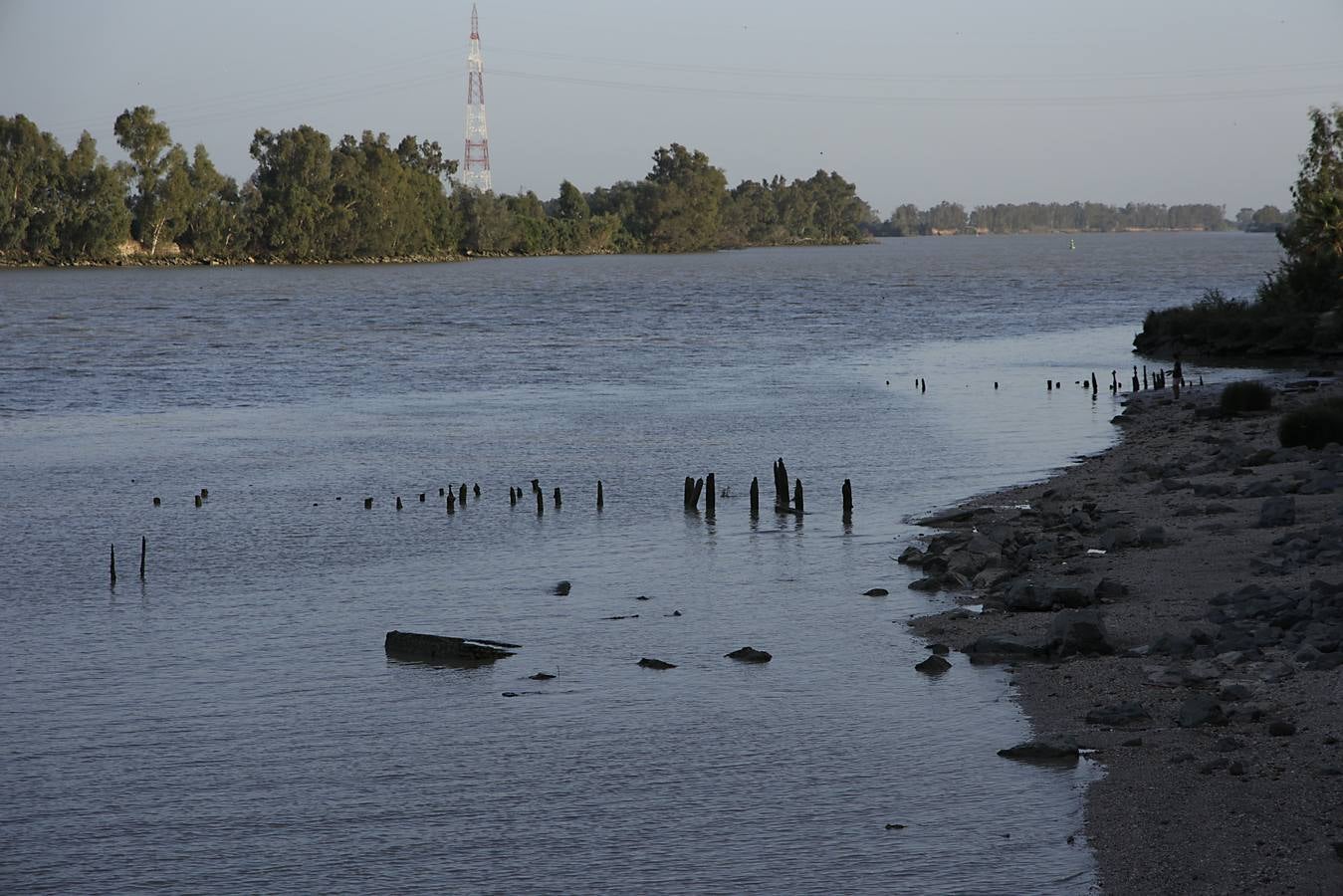 Imágenes de la Puebla del Río, un pueblo que vive con miedo por el virus del Nilo