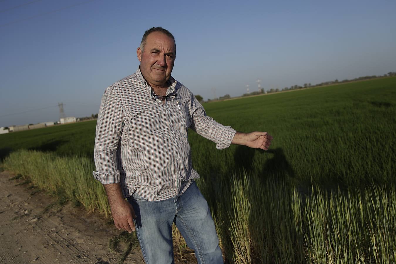 Imágenes de la Puebla del Río, un pueblo que vive con miedo por el virus del Nilo