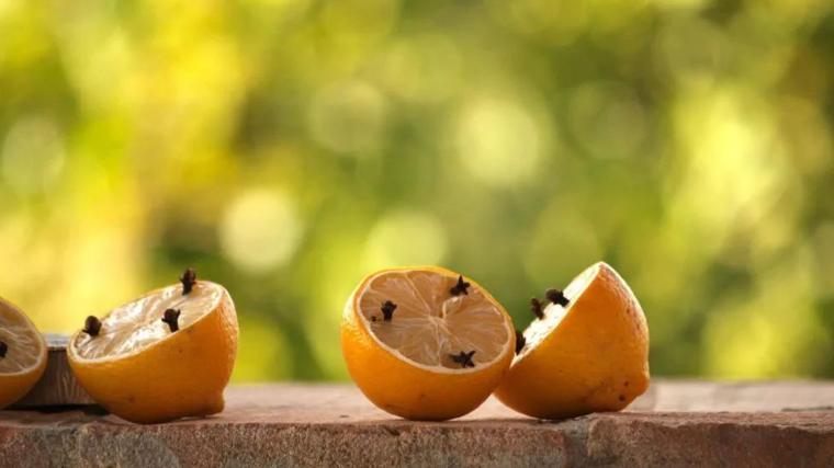 Limones con clavos aromáticos