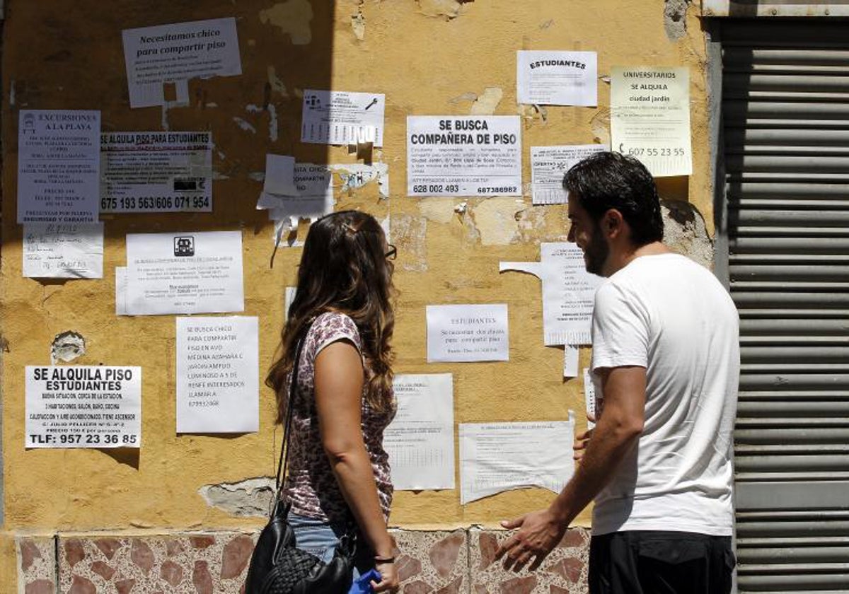 Unos jóvenes miran anuncios de pisos