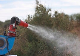 Virus del Nilo: «Hasta a los radiadores de los coches les ponemos mosquiteras»