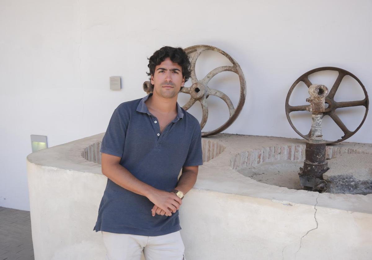 Luis Ybarra, director de la Bienal de Flamenco de Sevilla