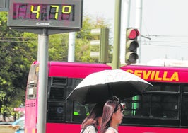 Las olas de calor se cobran 10 muertes en Sevilla en agosto, cien menos que el mismo periodo del año pasado