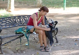 En Sevilla hay el doble de perros que de niños en edad escolar