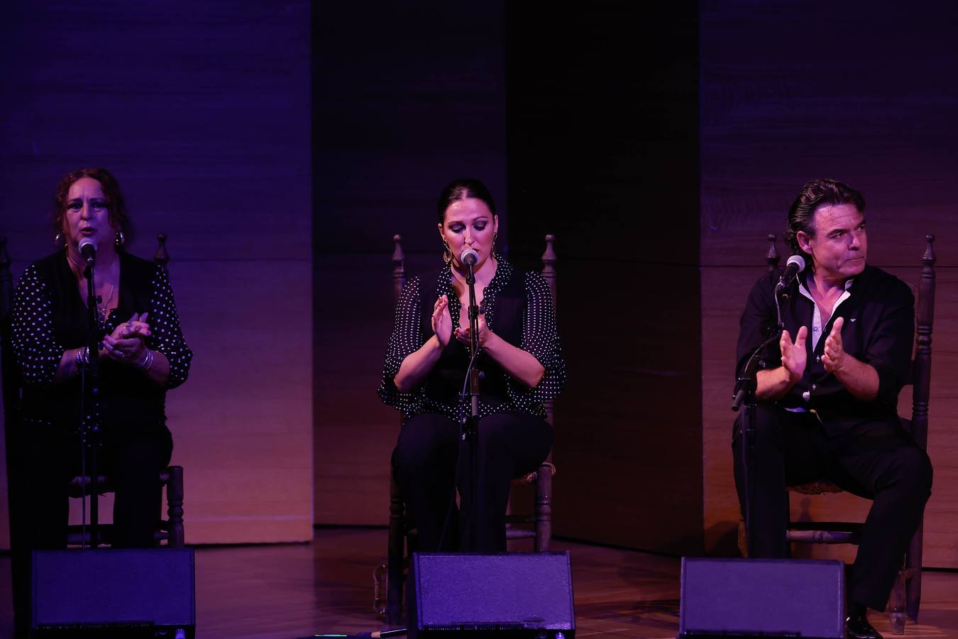 Manolo Franco recibió el calor de un público entregado a los sonidos de su guitarra