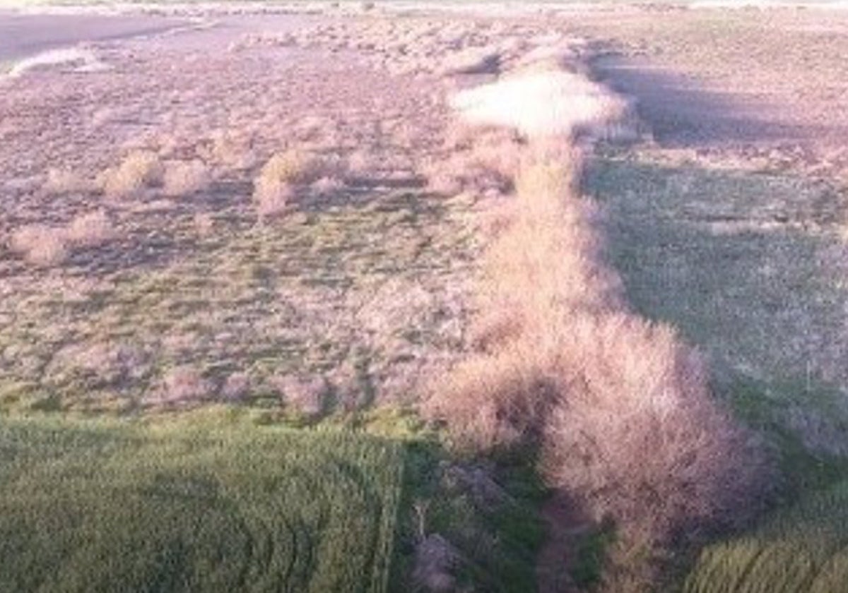 Imagen de la Laguna Calderón Grande, a catorce kilómetros de Osuna