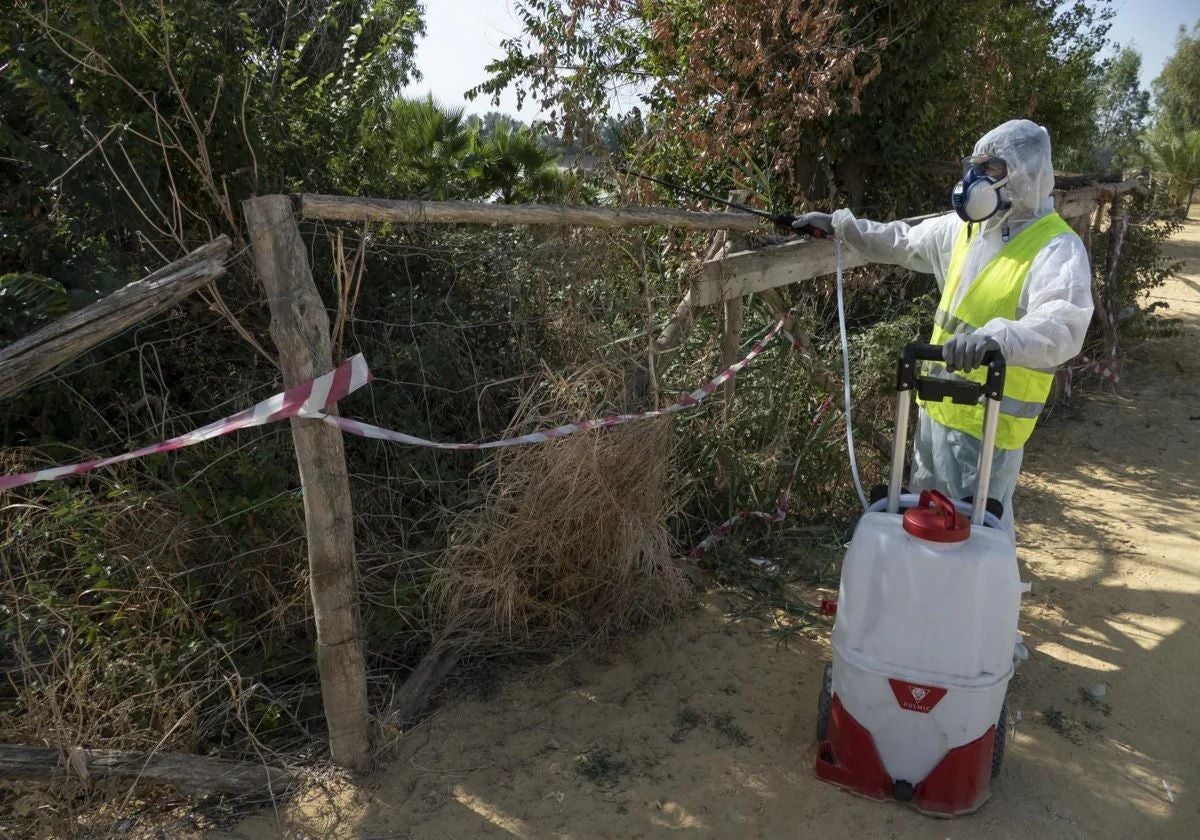 Trabajos de fumigación contra el mosquito