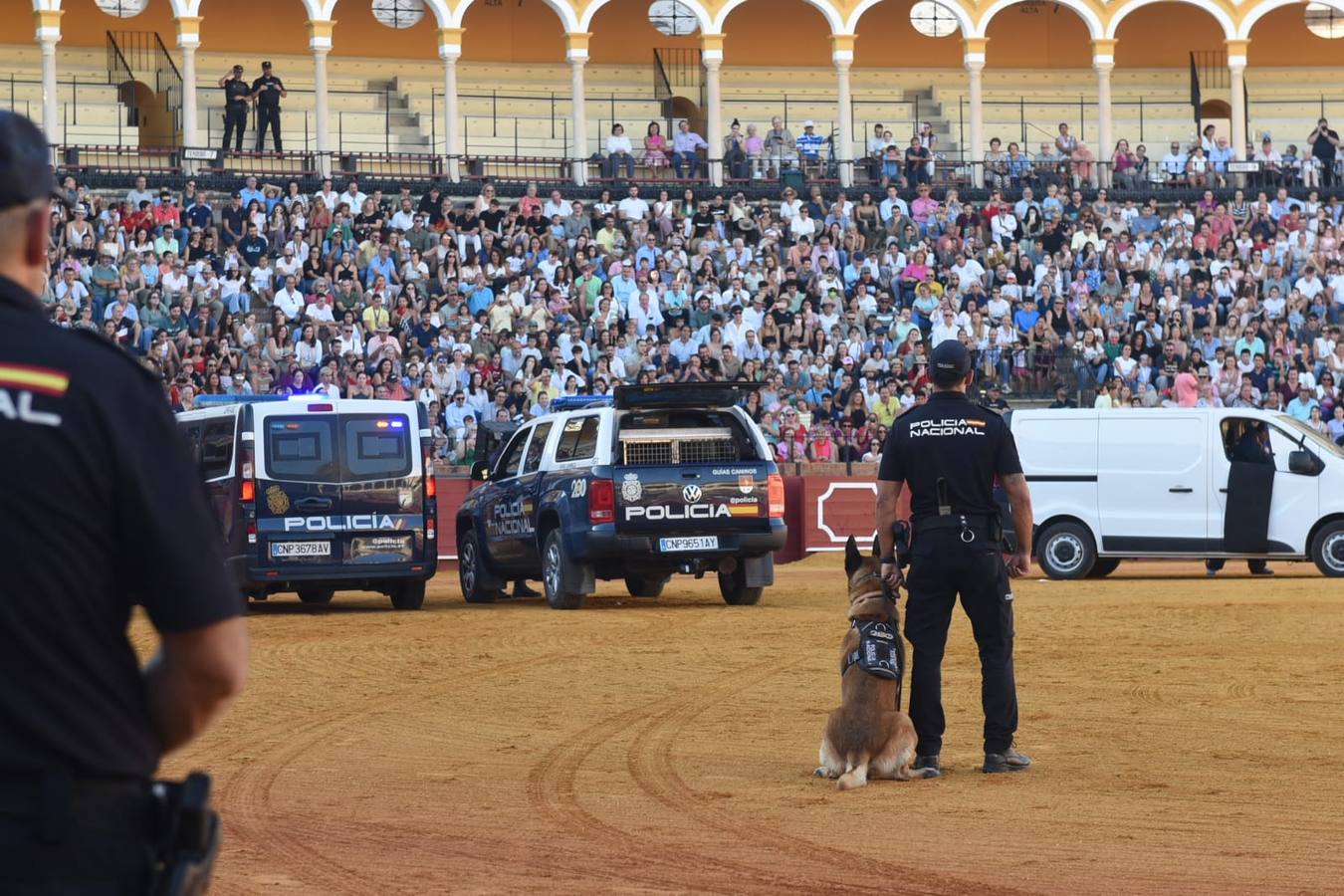 Un momento de la actuación de los agentes de la Policía Nacional en el ruedo de la Maestranza este lunes