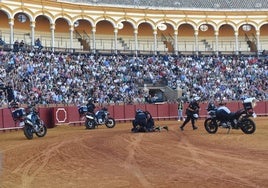 Imágenes de la exhibición de la Policía en la plaza de toros de la Maestranza