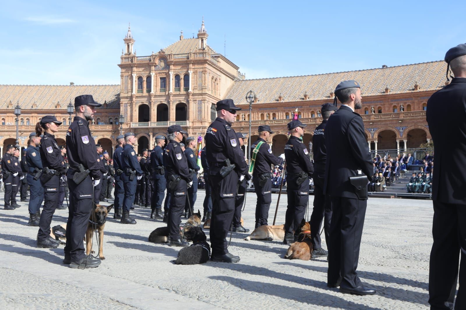 Celebración del Día de la Policía en Sevilla, en imágenes