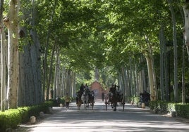 El Ayuntamiento destinará más de 100.000 euros a la limpieza de aseos en los parques de Sevilla