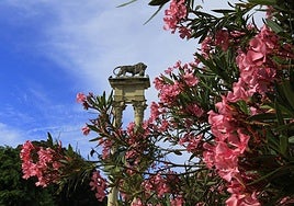 Urbanismo inicia las obras de restauración del monumento a Colón en los Jardines de Murillo