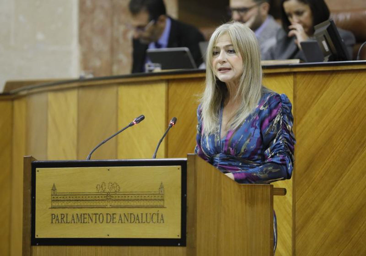 Patricia del Pozo durante una comparecencia en el Parlamento andaluz