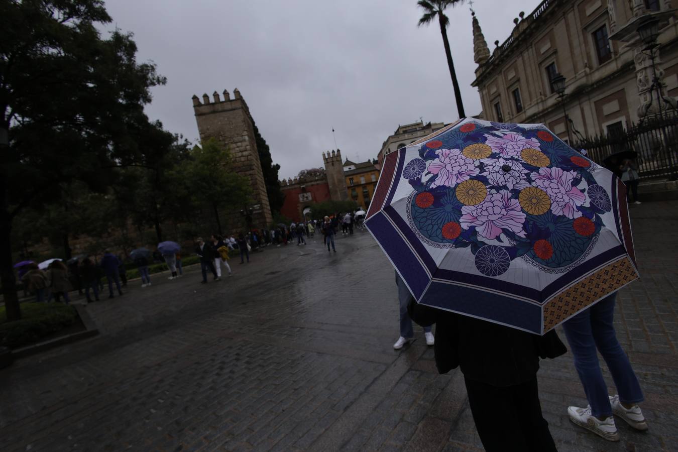 Los paraguas han inundado las calles del Centro de Sevilla durante el día de la Fiesta Nacional