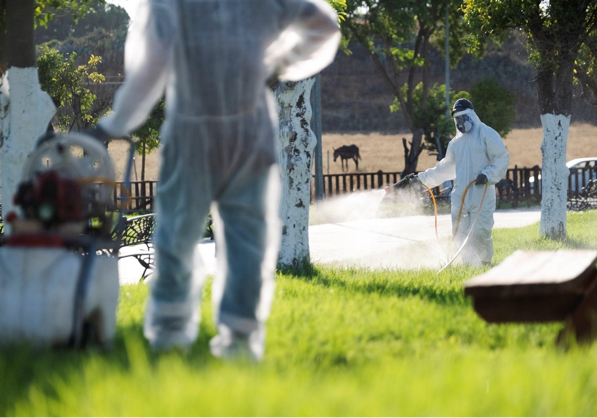 Un operario fumiga unos jardines en  una localidad sevillana