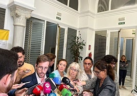La versión del subddelegado del Gobierno en Sevilla sobre  los sucesos de las Tres Mil Viviendas: «La realidad del Polígono Sur no es un problema de seguridad»
