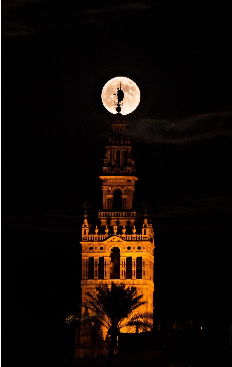 Así se vio la Luna del Cazador este jueves desde Sevilla