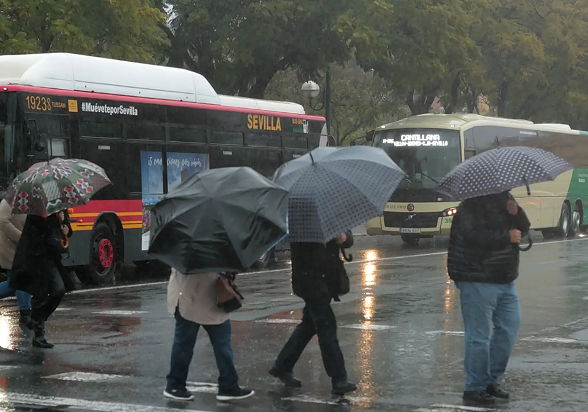 Varias personas caminan con sus paraguas durante un día de lluvia y frío en Sevilla