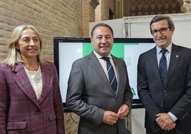 La inversión de la Junta en 2025 para la construcción de la línea 3 del Metro de Sevilla será de 101 millones de euros